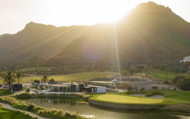 Obra nueva - Apartamento en planta baja - Pulpí