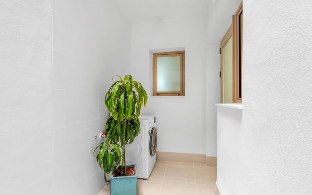 Obra nueva - Ático - Jacarilla