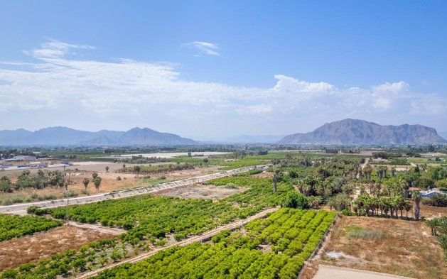 Obra nueva - Ático - Jacarilla