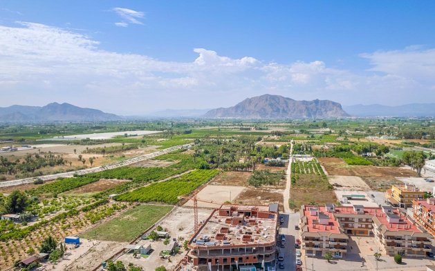 Obra nueva - Ático - Jacarilla