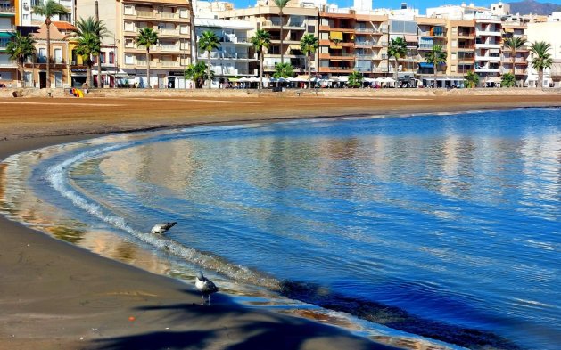Obra nueva - Villa independiente - Fuente Alamo