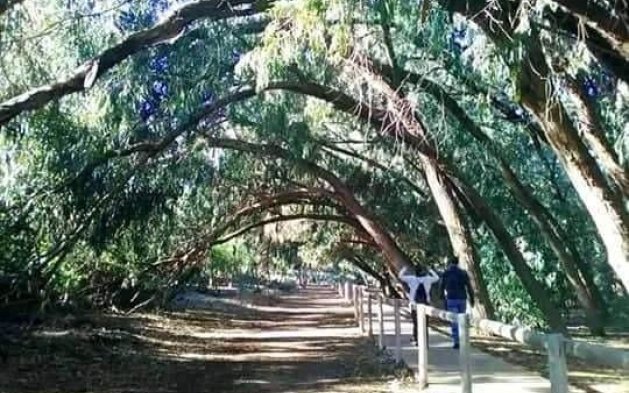 Obra nueva - Ático - Torrevieja