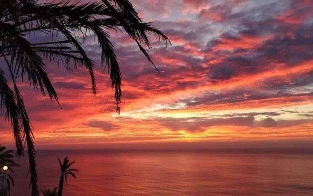 Obra nueva - Ático - Torrevieja