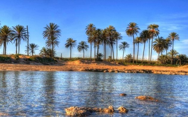 Obra nueva - Ático - Torrevieja