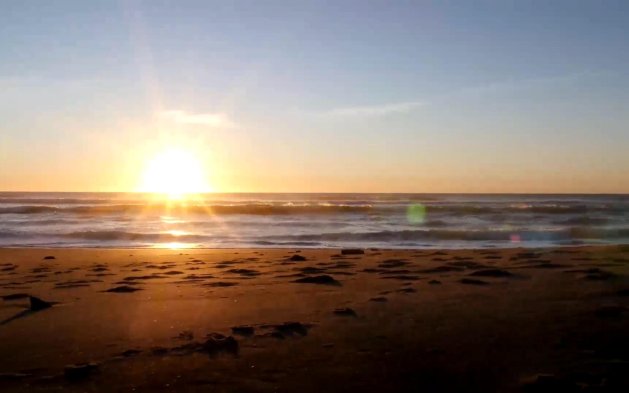 Obra nueva - Apartamento - Torrevieja