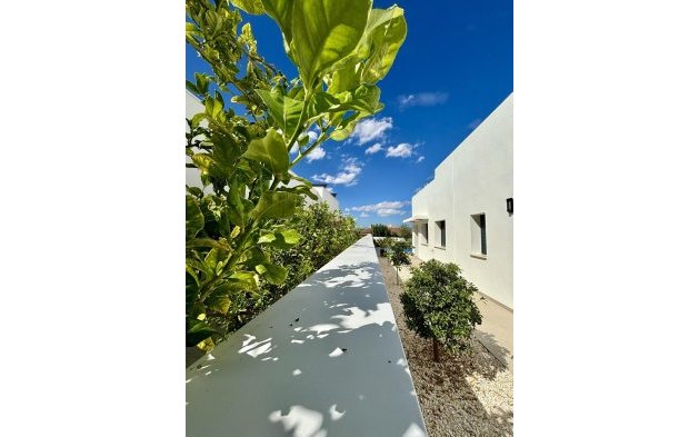 Nouvelle construction - Villa indépendante - Benijofar