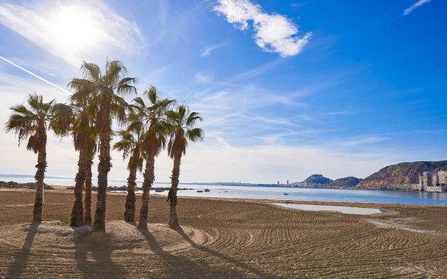 Nouvelle construction - Maison jumelée - Els Poblets