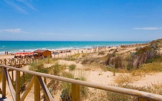 Nouvelle construction - Villa indépendante - Benijofar