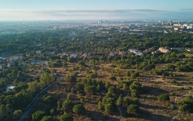 Obra nueva - Adosado - Godella