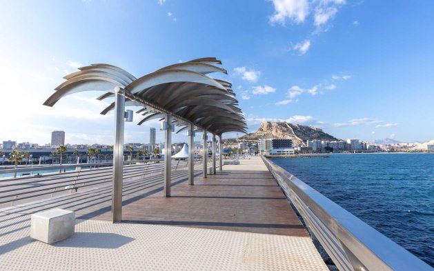 Obra nueva - Apartamento en planta baja - Alicante