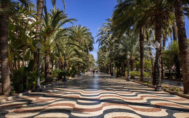 Obra nueva - Apartamento - Alicante