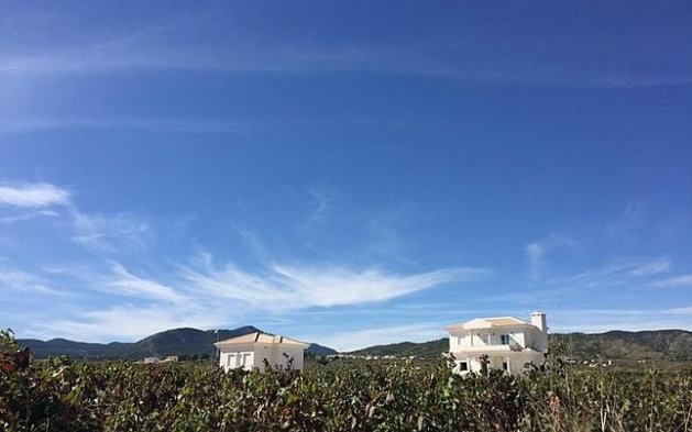 Nouvelle construction - Villa indépendante - Pinoso