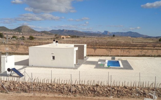 New Build - Independent Villa - Pinoso