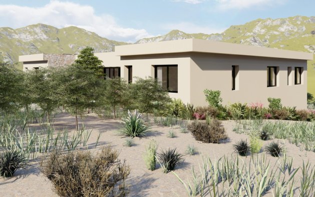 Nouvelle construction - Villa indépendante - Yecla