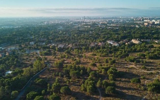 Obra nueva - Apartamento - Godella