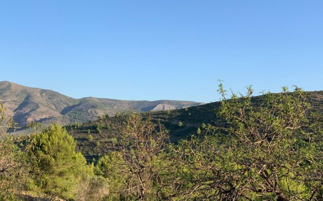 Resale - finca - Benissa - Casco urbano