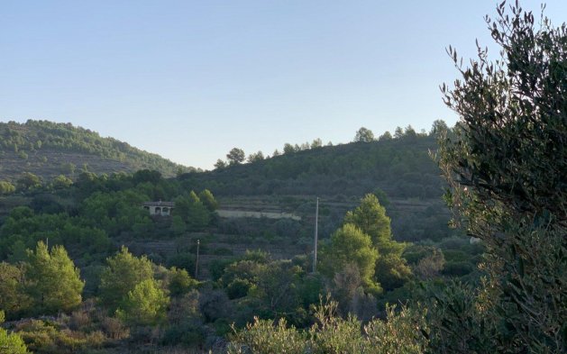 Resale - finca - Benissa - Casco urbano