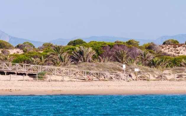 New Build - Penthouse - Guardamar del Segura