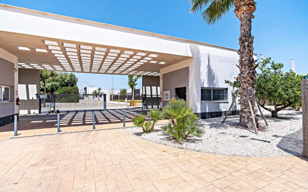 Obra nueva - Ático - Vera