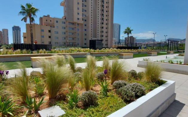 New Build - Penthouse - Calpe - Playa Arenal Bol