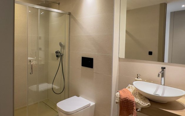 New Build - Penthouse - Algorfa