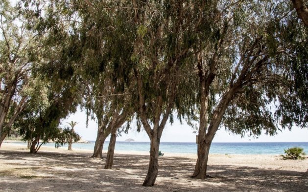 Nouvelle construction - Appartement en rez-de-chaussée - Villajoyosa