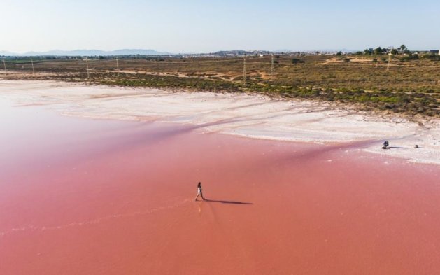 New Build - Penthouse - Torrevieja