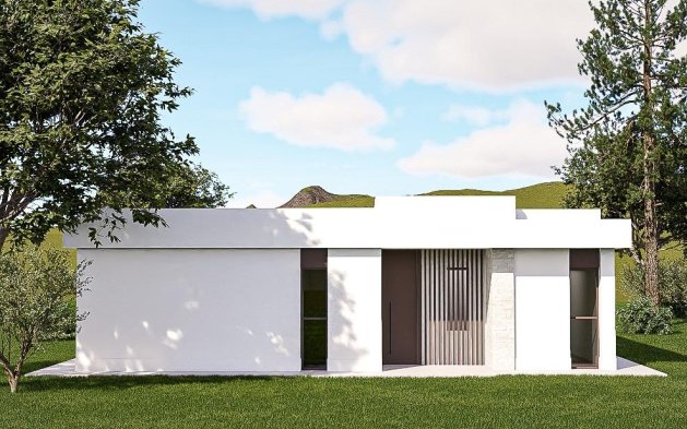 New Build - Independent Villa - Pinoso