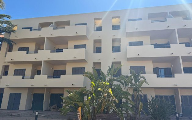 Obra nueva - Apartamento - Vera