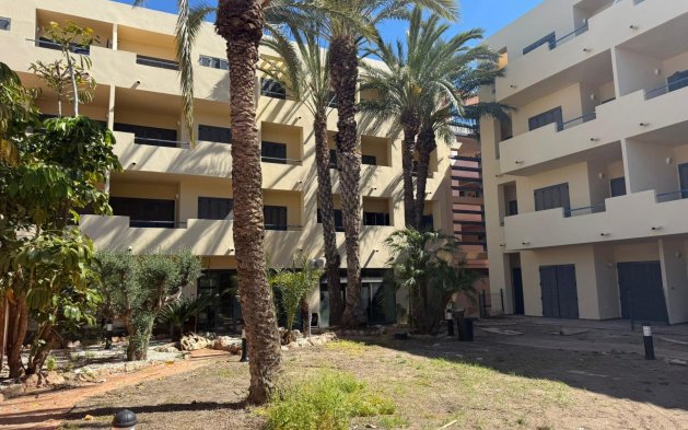 Obra nueva - Apartamento - Vera