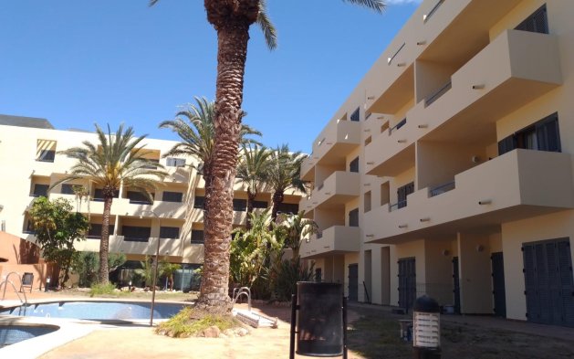 Nouvelle construction - Appartement en rez-de-chaussée - Vera