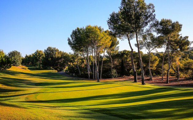 Obra nueva - Villa independiente - Orihuela