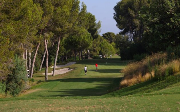 Obra nueva - Villa independiente - Orihuela