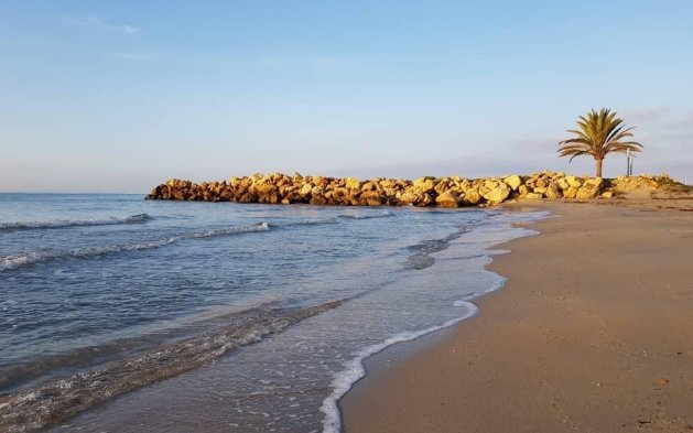 New Build - Apartment - Santa Pola