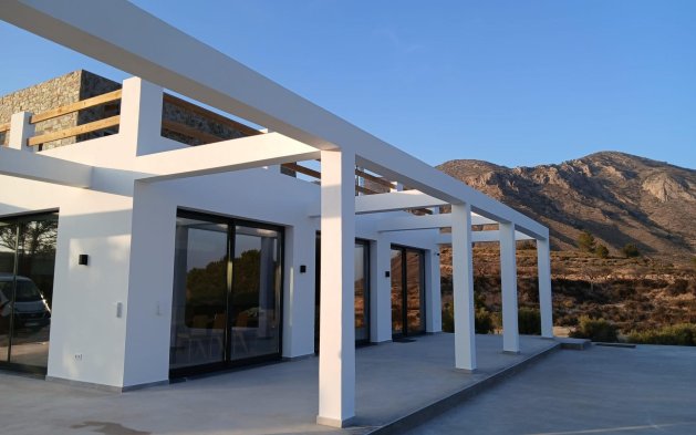 New Build - Independent Villa - Pinoso