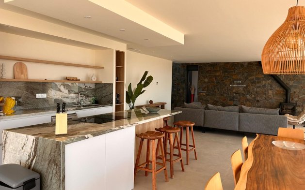New Build - Independent Villa - Pinoso