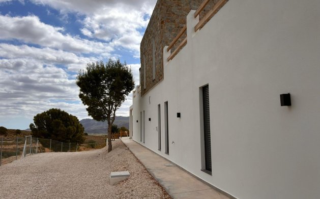 New Build - Independent Villa - Pinoso