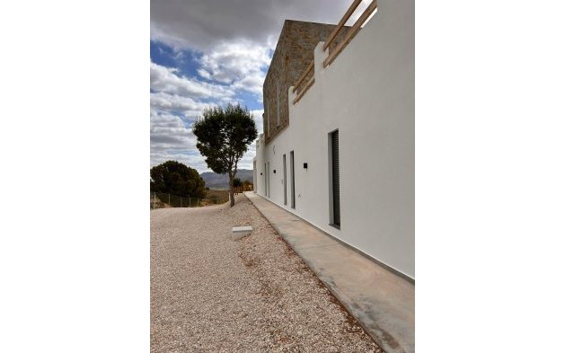 New Build - Independent Villa - Pinoso