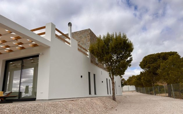New Build - Independent Villa - Pinoso