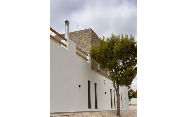 New Build - Independent Villa - Pinoso