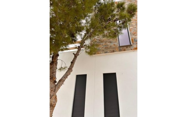 New Build - Independent Villa - Pinoso