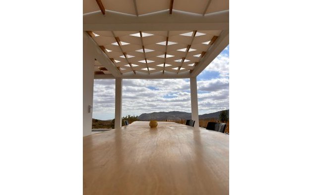 New Build - Independent Villa - Pinoso