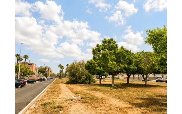 Revente - Appartement - Santa Pola - Gran Playa
